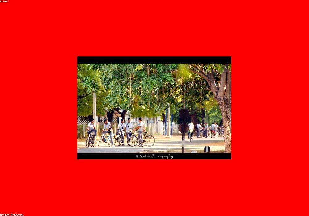 बलराम गहलोत की आरएएस परीक्षा में शानदार सफलता