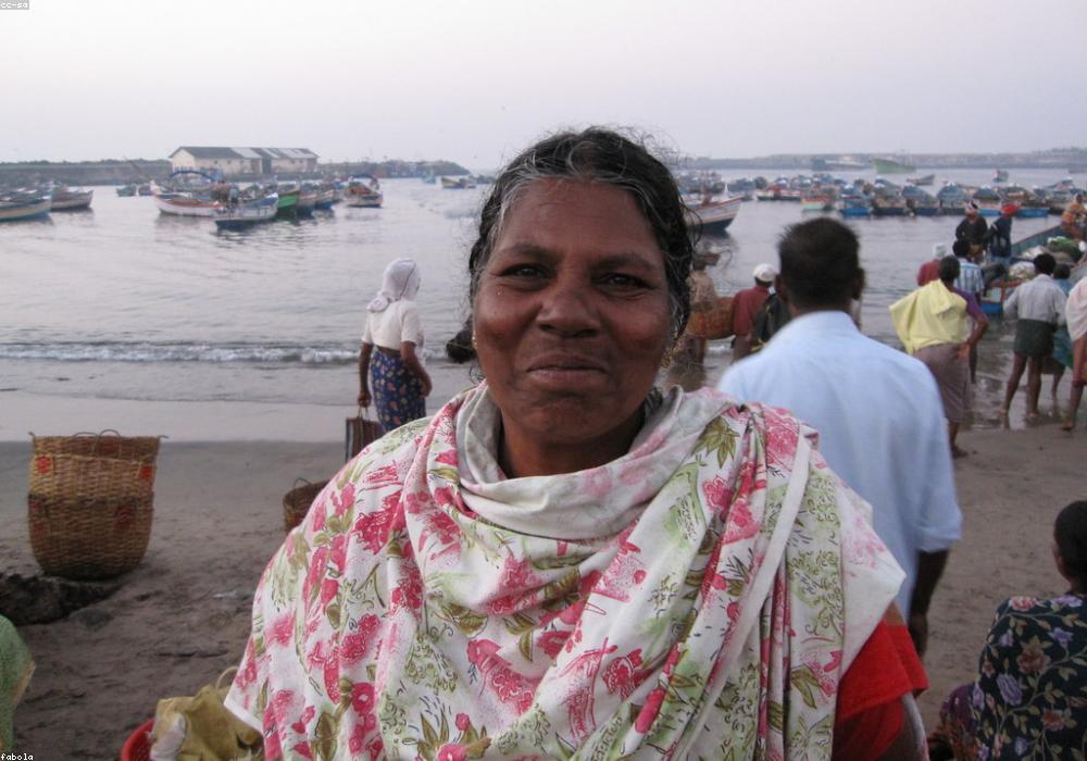 RAS परीक्षा परिणाम: दिनेश विश्नोई बने टॉपर