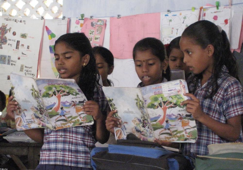 RAS परीक्षा परिणाम: दिनेश विश्नोई ने हासिल किया शीर्ष स्थान