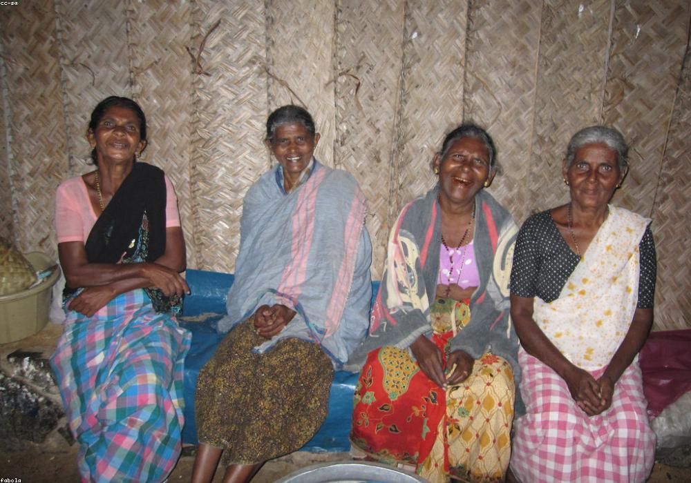 RAS परीक्षा परिणाम: दिनेश विश्नोई बने टॉपर