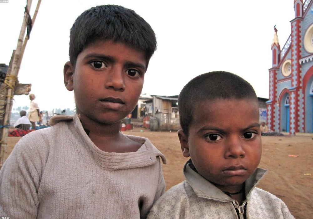 RAS परीक्षा परिणाम: दिनेश विश्नोई बने टॉपर