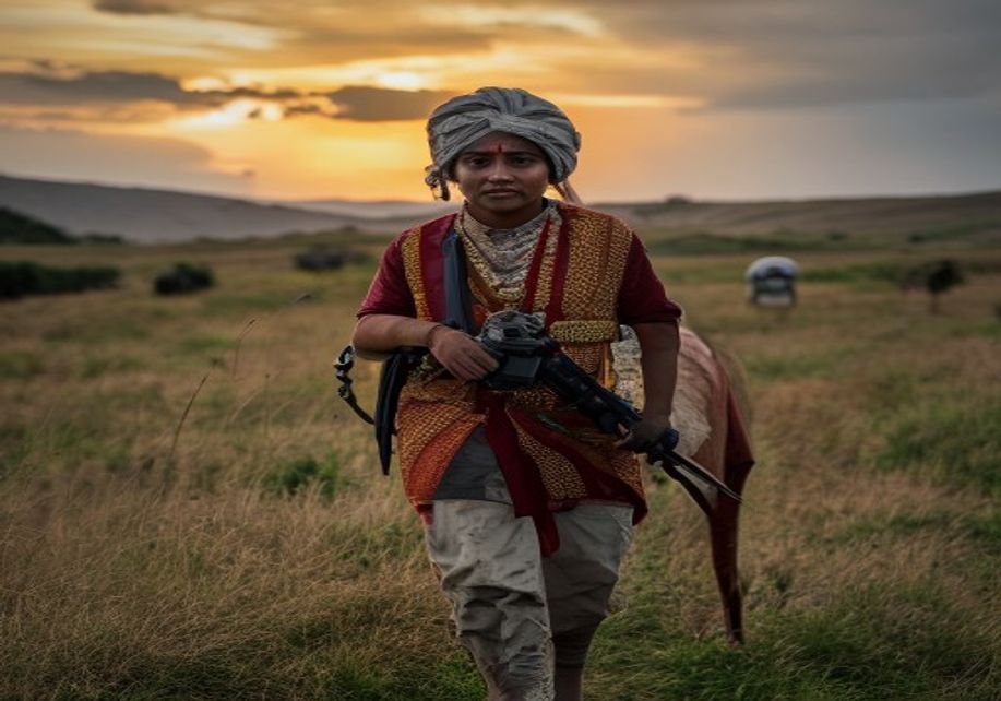 रेगिस्तान में बिछी बर्फ की चादर: जयपुर में आंधी-बारिश के साथ ओले गिरे; अजमेर-ब्यावर में तूफान से पेड़ धराशाय