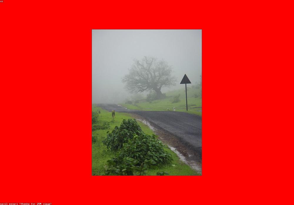 रेगिस्तान में बिछी बर्फ की चादर: राजस्थान में बेमौसम बारिश और ओलावृष्टि का कहर