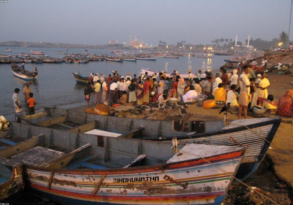 राजस्थान में SI-प्लाटून कमांडर भर्ती परीक्षा का आयोजन