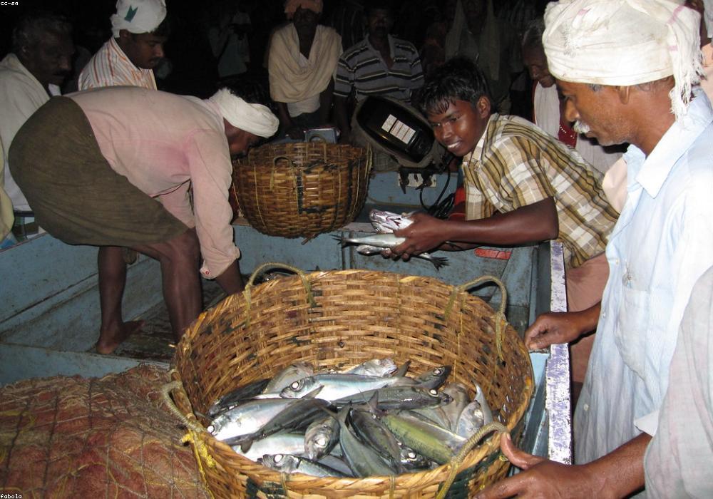 नागौर में एसआई भर्ती परीक्षा के दौरान प्रशासनिक अव्यवस्था