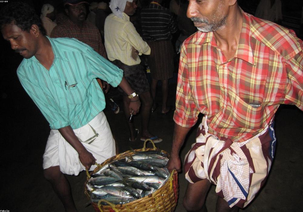 राजस्थान: नागौर में SI भर्ती परीक्षा के दौरान हंगामा