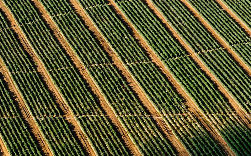 राजस्थान में बेमौसम बारिश और ओलावृष्टि का कहर