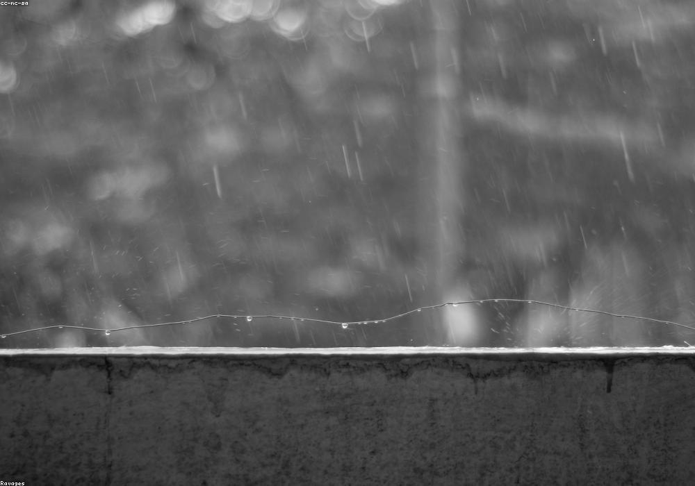 राजस्थान में बेमौसम बारिश और ओलावृष्टि का कहर