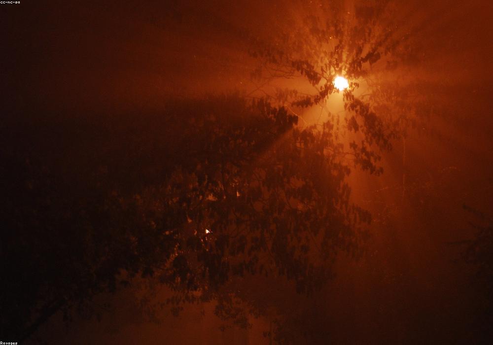 राजस्थान में मौसम का मिजाज: बारिश और ओलावृष्टि का कहर जारी